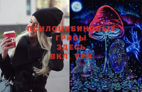 амф Зеленокумск