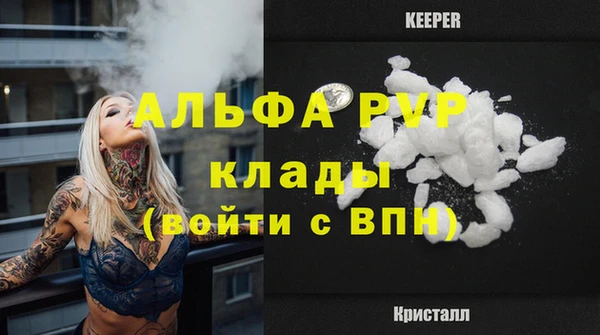 амф Зеленокумск