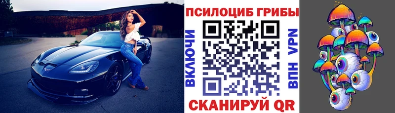 купить наркотики сайты Знаменск Псилоцибиновые грибы прущие грибы