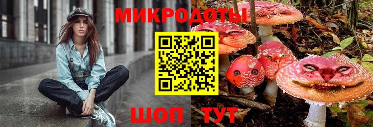 Галлюциногенные грибы Psilocybe  Вход с VPN  Знаменск 